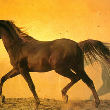 Оригинал схемы вышивки «лошадь» (№18204)
