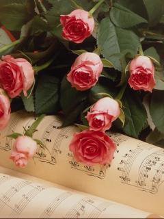 Букет роз - ноты, букет, розы, букет роз - оригинал