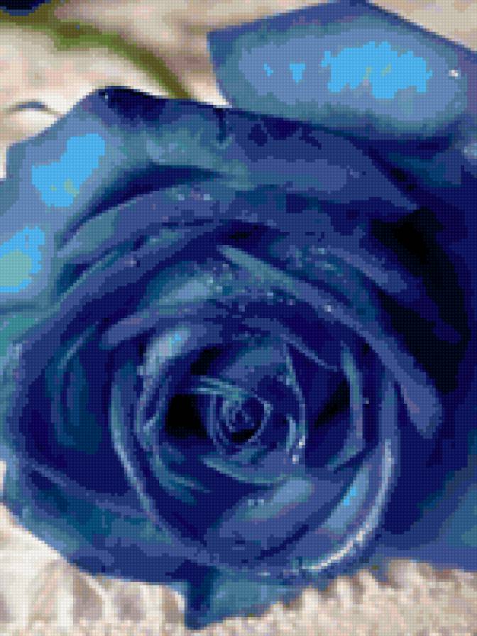 Синяя роза - синяя роза - предпросмотр
