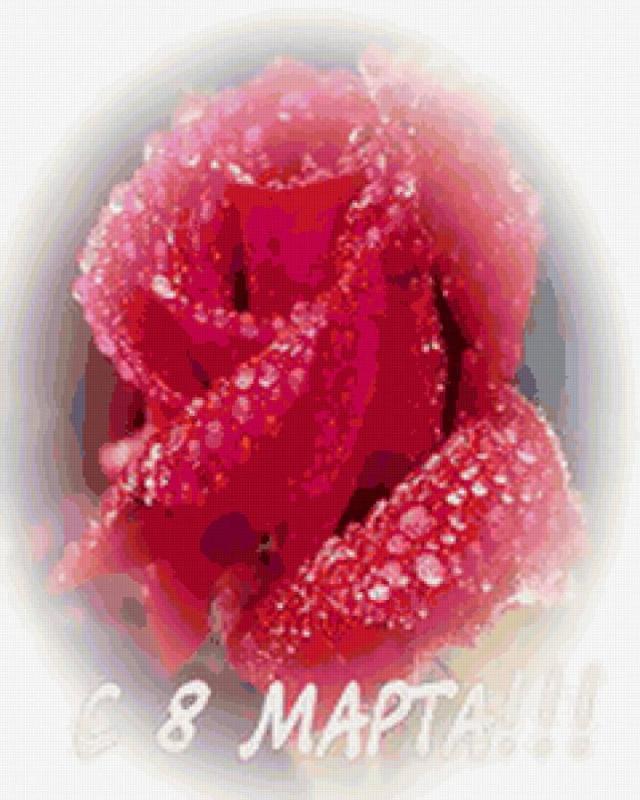 8 марта! - капли, роза, 8 марта - предпросмотр