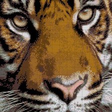 Оригинал схемы вышивки «тигр» (№18404)