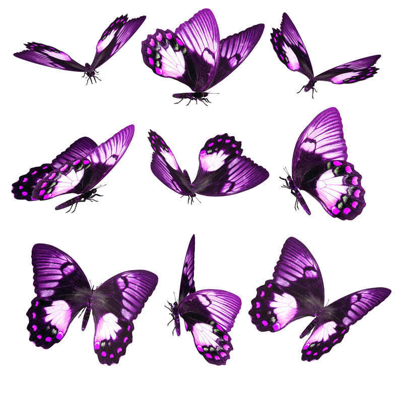 лиловые бабочки - оригинал