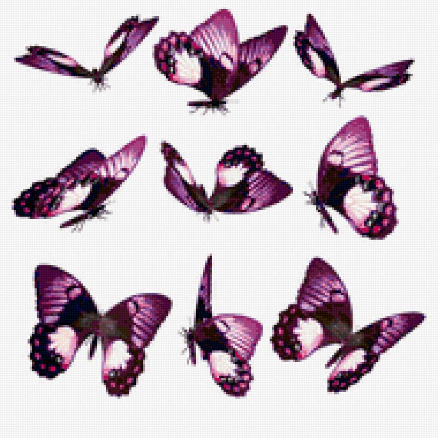 лиловые бабочки - предпросмотр
