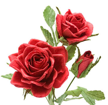 Подушка Красные розы - оригинал
