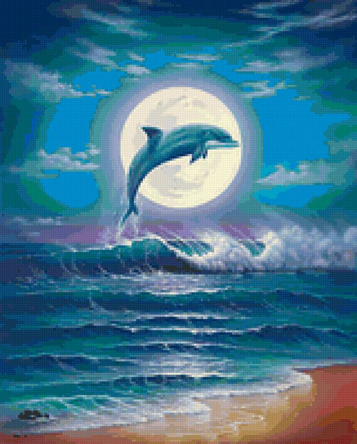 дельфин - закат, дельфин, море - предпросмотр