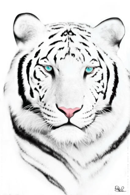 Белый тигр - оригинал