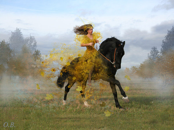 Девушка на коне - девушка, лошадь, природа, конь - оригинал