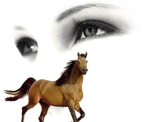 № 256484 - глаза, лошадь, девушка, конь - оригинал