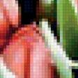 Предпросмотр схемы вышивки «тюльпаны» (№19854)