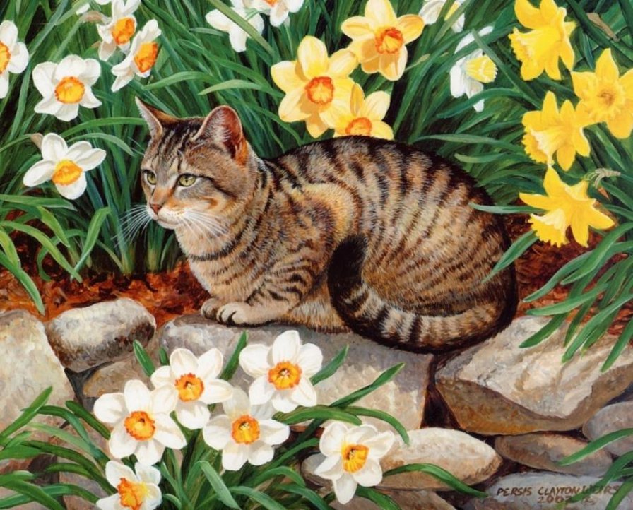 Кошка - животные, цветы, кошка, кот - оригинал