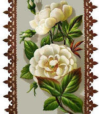 Оригинал схемы вышивки «Белые розы» (№20554)