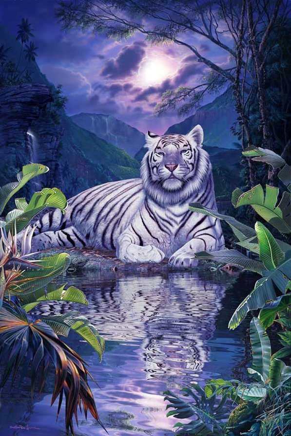 у озера - природа, котята, тигр, животные, луна, ночь, кошки - оригинал