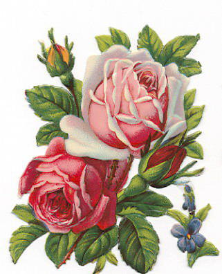 розы - цветы - оригинал
