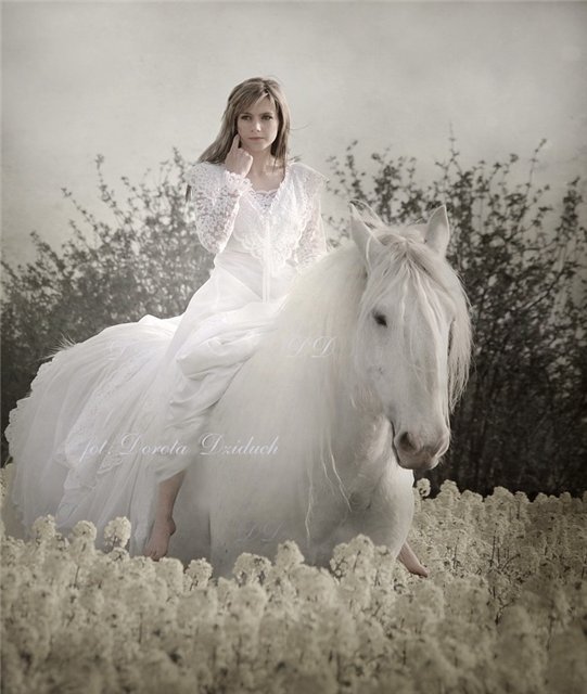 невеста на коне - кони, белая лошадь, девушка в свадебном - оригинал