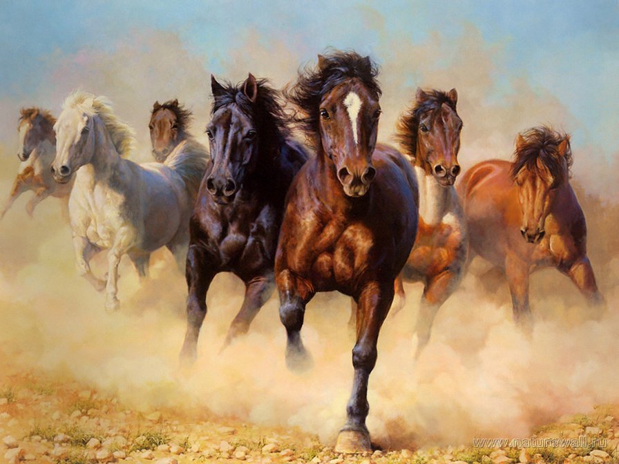 Табун лошадей - животные, лошади - оригинал
