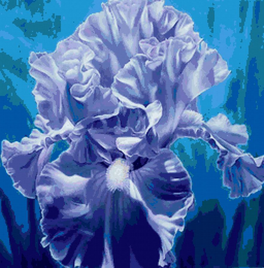 Голубой ирис - цветы - предпросмотр
