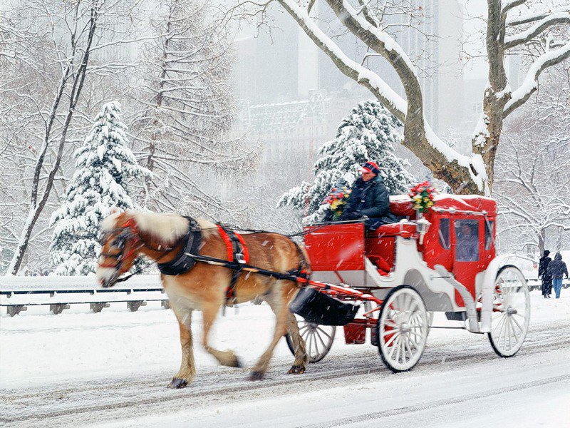 зимний город - нью- йорк, лошадь, зима, город - оригинал