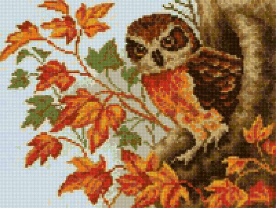 Сова - птица, листья, дупло, осень, мир красок, сова, панно, птички - предпросмотр