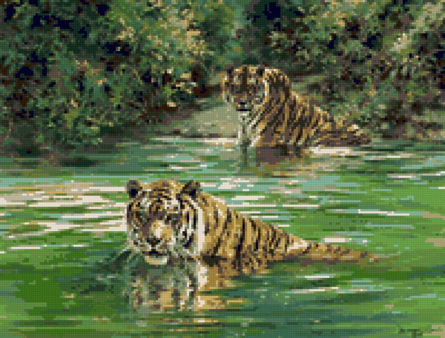 тигры - предпросмотр