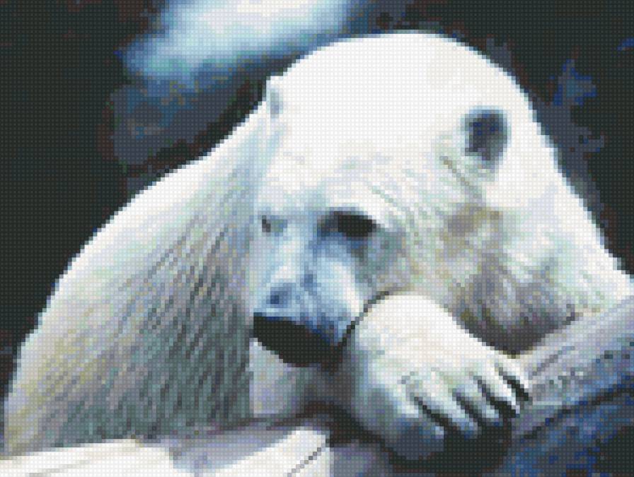 Белый медведь - предпросмотр