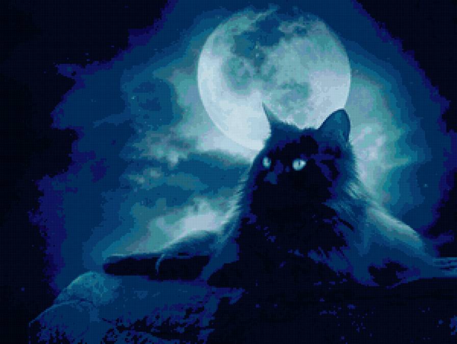 кошка - кошка, луна - предпросмотр
