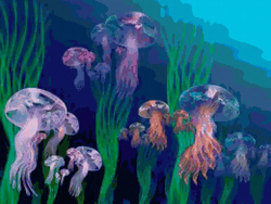 медузы - предпросмотр