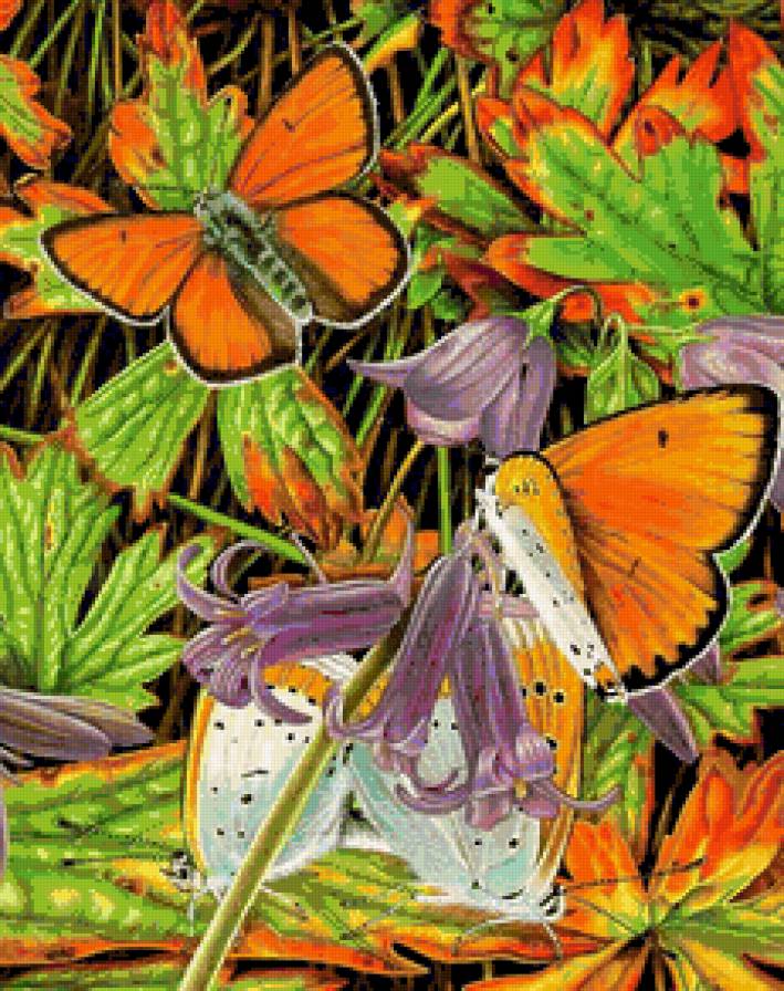 Бабочки4 - lloyd-jones karen, художник - предпросмотр