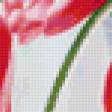 Предпросмотр схемы вышивки «тюльпаны» (№22564)