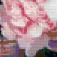Предпросмотр схемы вышивки «цветы» (№22583)