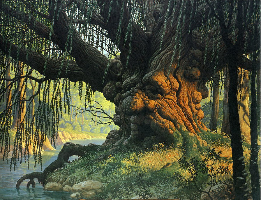 сказочное вековое дерево - старая ива, дерево, миф - оригинал