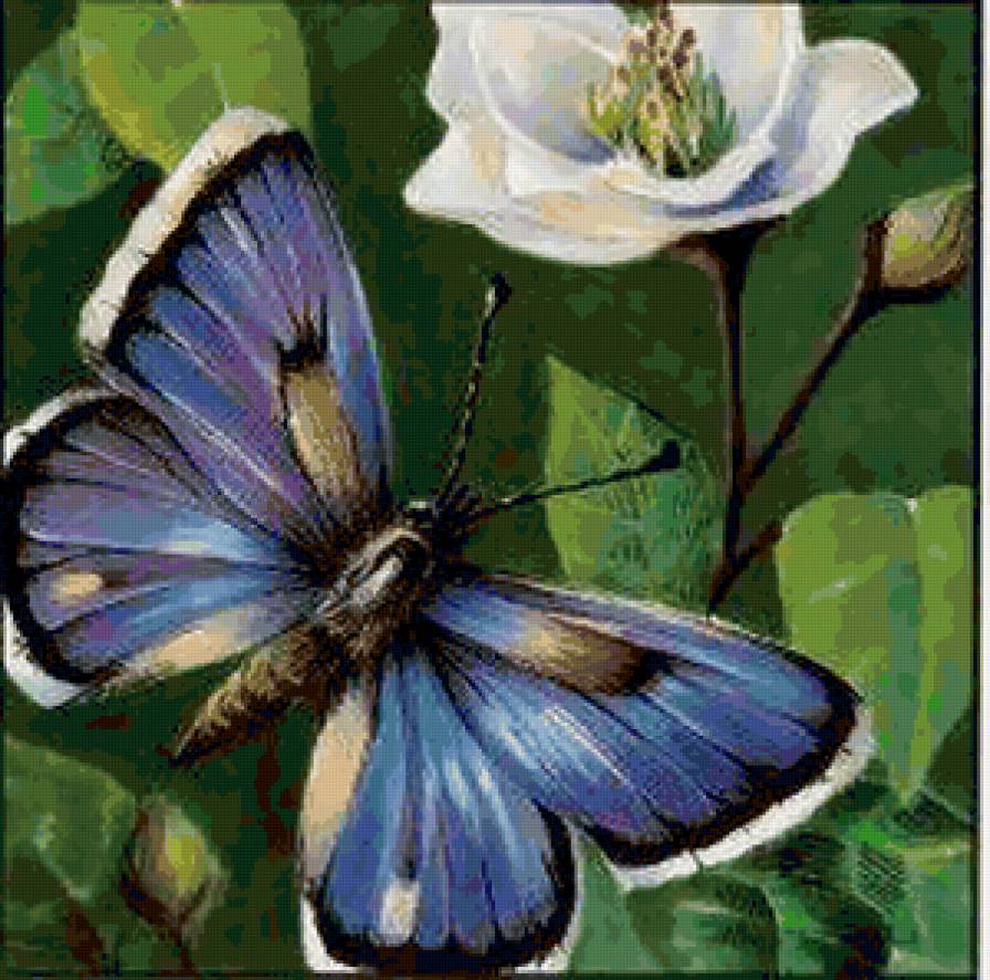 Серия "Бабочки" - бабочки, роза, цветы - предпросмотр