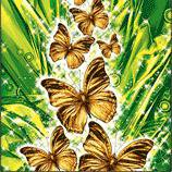 Серия "Бабочки" - бабочки, подушка - оригинал