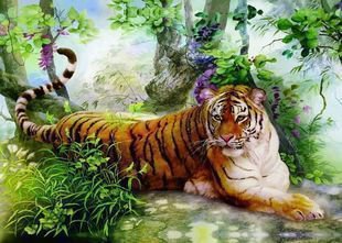 амурский тигр - тигр - оригинал