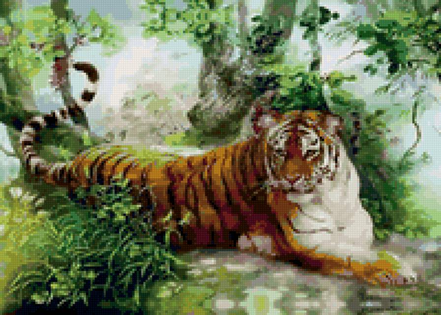 амурский тигр - тигр - предпросмотр