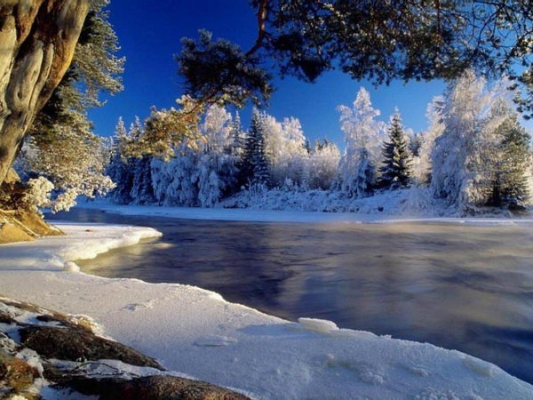 Зимняя река - снег, деревья, растения, природа, вода, река, зима - оригинал