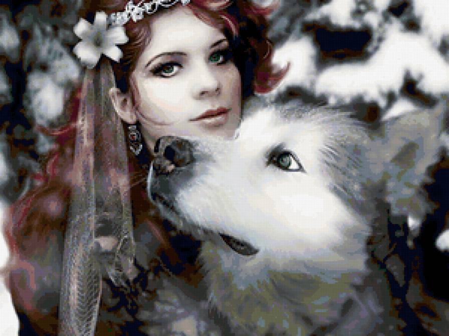 Девушка и волк - девушка, природа, животные, люди, зима, волк, снег - предпросмотр