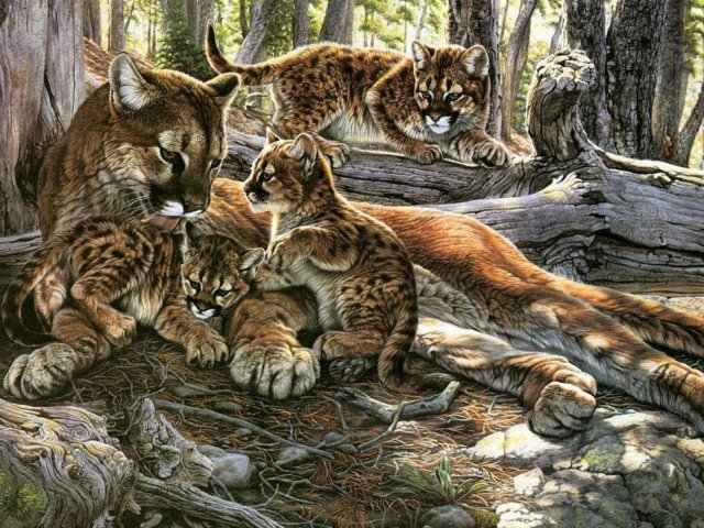 Мама и дети - котята, природа, дерево, кошки - оригинал