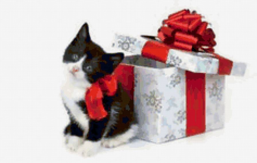 подарок - котенок, праздник - предпросмотр