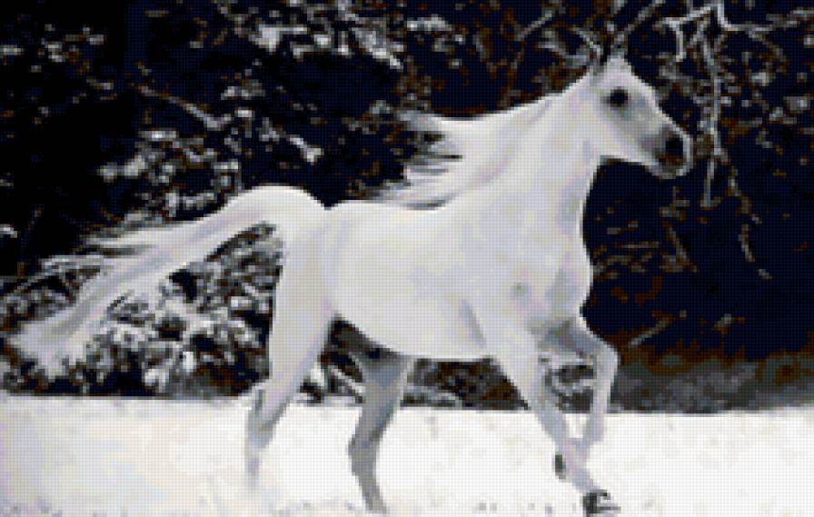 белая лошадь - предпросмотр