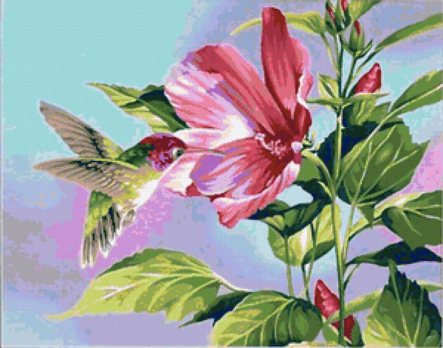 Колибри с цветком мальвы - птичка, колибри, цветок, мальва, порхает - предпросмотр