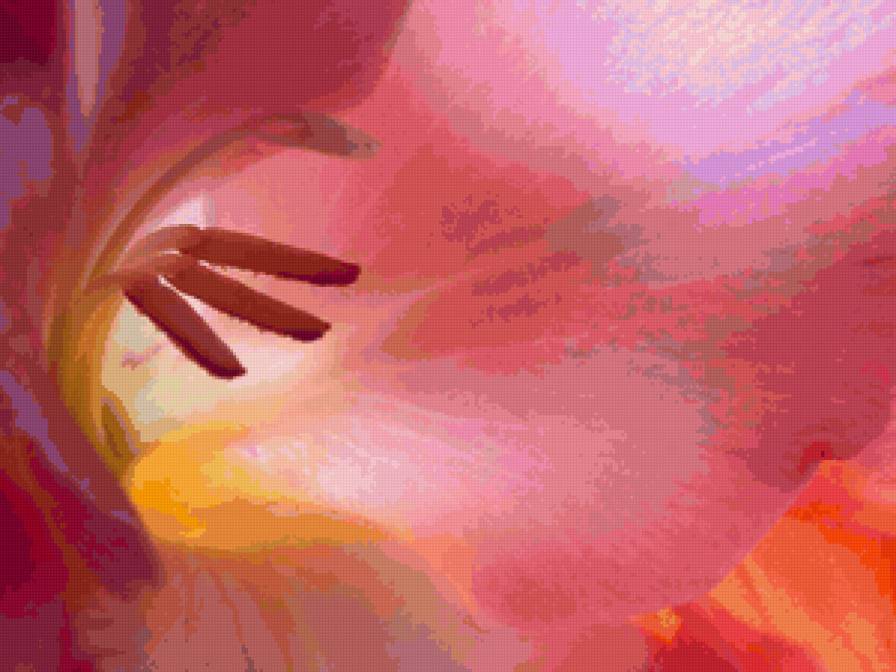 МакроЦветок - крупно, тычинки, лилия, цветок - предпросмотр