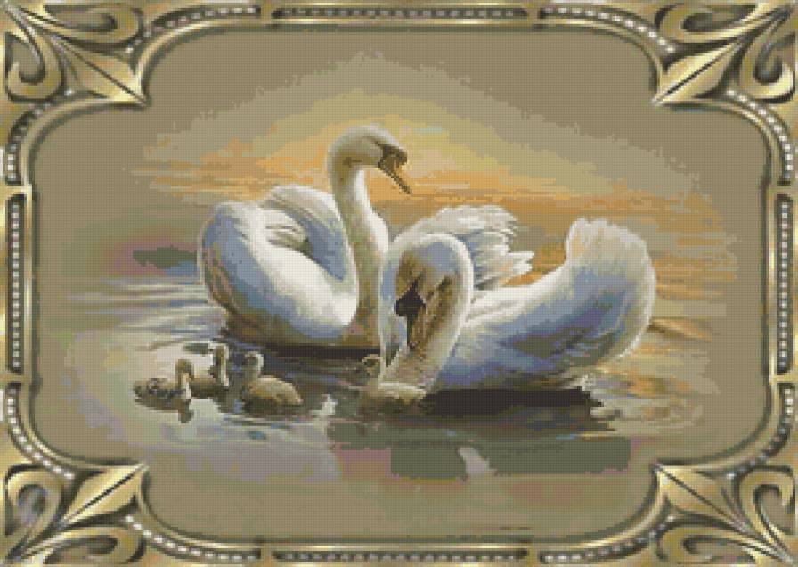 Лебединая семья - лебеди, вода, любовь, семья, пара - предпросмотр