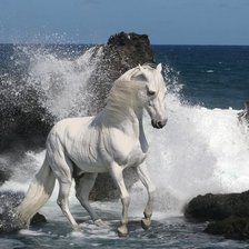 Оригинал схемы вышивки «Белая лошадь» (№24337)
