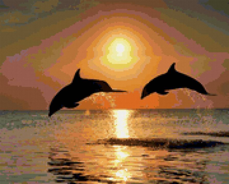 Дельфины на закате - предпросмотр