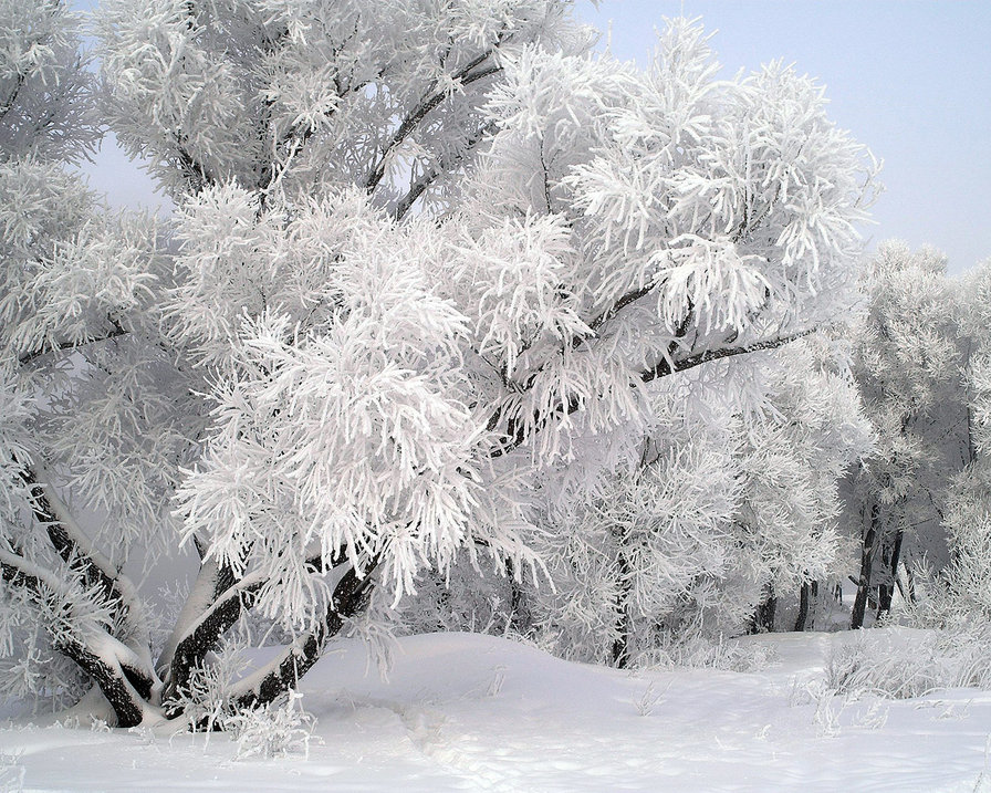 Зима - природа - оригинал