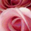 Предпросмотр схемы вышивки «Розы» (№24528)