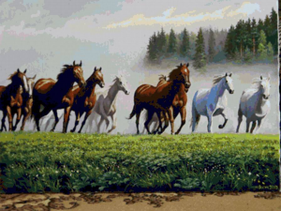 Бег на кануне грозы - пейзаж, лошади, природа - предпросмотр