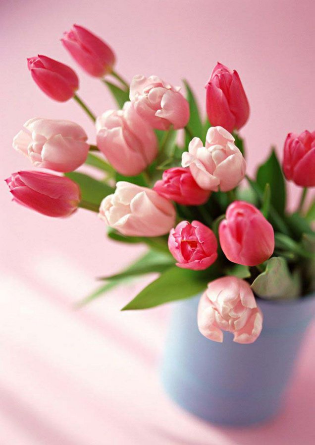 цветы - тюльпан, букет, природа, цветы - оригинал