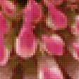 Предпросмотр схемы вышивки «полевые цветы» (№25038)
