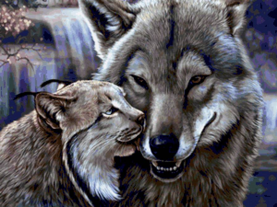 Любовь? - волк, звери - предпросмотр